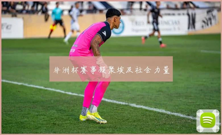 非洲杯赛事凝聚埃及社会力量