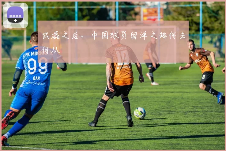 武磊之后，中国球员留洋之路何去何从