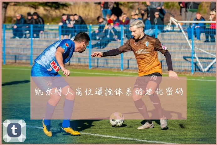 凯尔特人高位逼抢体系的进化密码