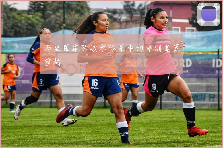 马里国家队战术体系中的非洲基因重构